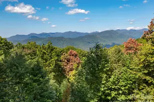 8 Edelweiss Ln, Swannanoa, NC 28778 - Photo 22