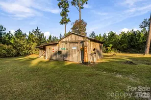 1598 Marks Creek Church Rd, Laurel Hill, NC 28351 - Photo 6