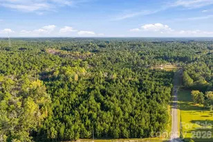 1598 Marks Creek Church Rd, Laurel Hill, NC 28351 - Photo 4