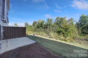 620 Amber Meadows Way, Tega Cay, SC 29708 - Photo 28