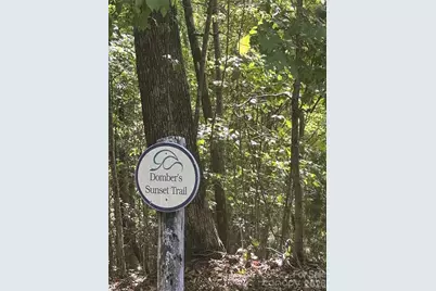 200 Ladys Fern Trail, Laurel Park, NC 28739 - Photo 2