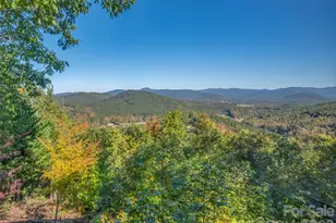 298 Summit Pkwy, Bostic, NC 28018 - Photo 18