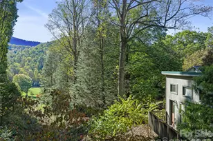 753 Ransom Silvers Rd, Burnsville, NC 28714 - Photo 36