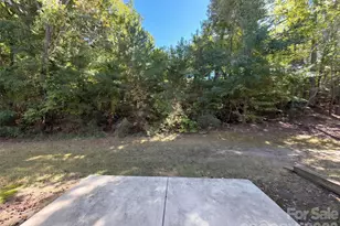 13927 Singleleaf Lane, Charlotte, NC 28278 - Photo 18