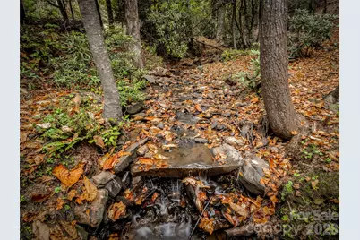 50 Wild Iris Drive, Burnsville, NC 28714 - Photo 4