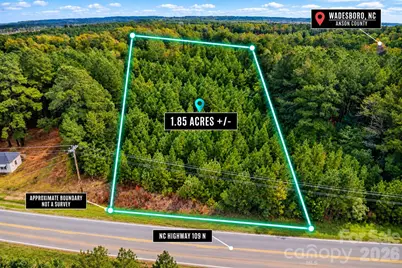 00 Nc 109 Highway N, Wadesboro, NC 28170 - Photo 1
