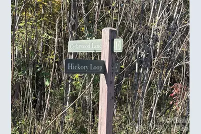 Lot 15 Hickory Loop, Rutherfordton, NC 28139 - Photo 4