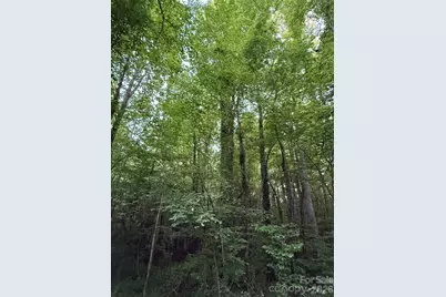 00 Winterhaven Road Road #4, Taylorsville, NC 28681 - Photo 4
