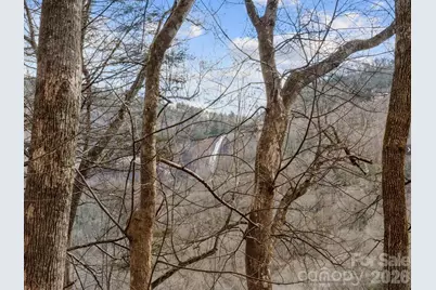 124 Buena Vista Road, Chimney Rock Village, NC 28720 - Photo 16