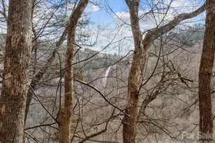 124 Buena Vista Rd, Chimney Rock Village, NC 28720 - Photo 16