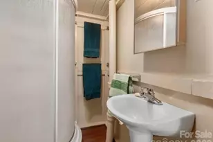 124 Buena Vista Rd, Chimney Rock Village, NC 28720 - Photo 12