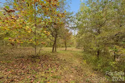 0 Kims Cove Road, Canton, NC 28716 - Photo 38