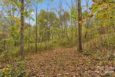 0 Kims Cove Road, Canton, NC 28716 - Photo 32
