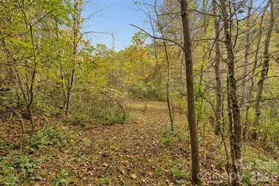 0 Kims Cove Road, Canton, NC 28716 - Photo 30