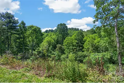0 Kims Cove Road, Canton, NC 28716 - Photo 18