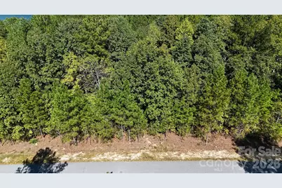 3132 Panoramic Vista Court NE #55, Connelly Springs, NC 28612 - Photo 16
