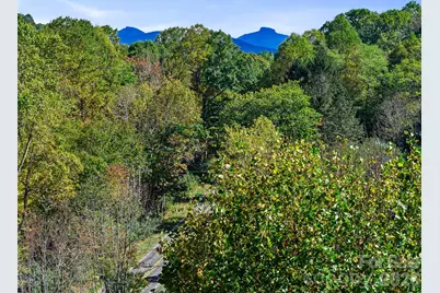 Tbd Chestnut Grove Road, Spruce Pine, NC 28777 - Photo 36
