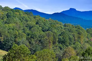 Tbd Chestnut Grove Rd, Spruce Pine, NC 28777 - Photo 1