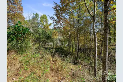 Tbd Chestnut Grove Road, Spruce Pine, NC 28777 - Photo 34