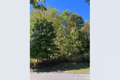 0000 Ladys Fern Trail, Hendersonville, NC 28739 - Photo 8