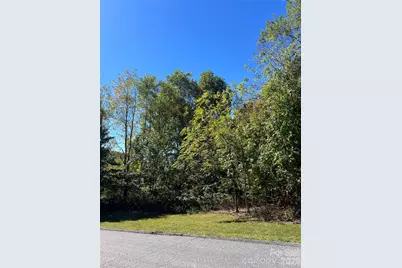0000 Ladys Fern Trail, Hendersonville, NC 28739 - Photo 10