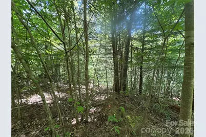 401 Â± Upper Flat Creek Road, Weaverville, NC 28787 - Photo 34