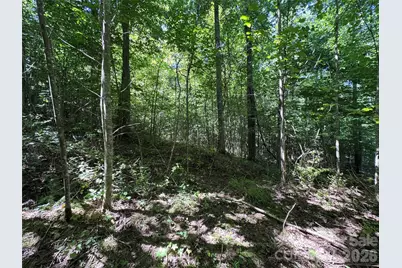 300 Â± Acres Upper Flat Creek Road, Weaverville, NC 28787 - Photo 8