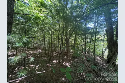300 Â± Acres Upper Flat Creek Road, Weaverville, NC 28787 - Photo 28