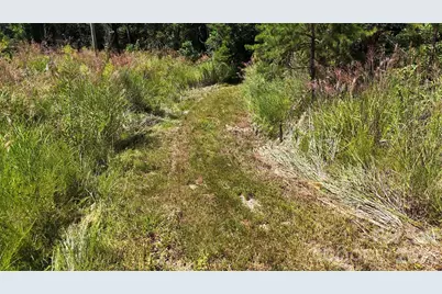 300 Â± Acres Upper Flat Creek Road, Weaverville, NC 28787 - Photo 44