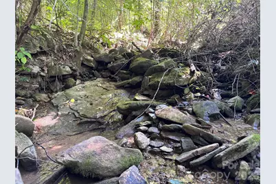 300 Â± Acres Upper Flat Creek Road, Weaverville, NC 28787 - Photo 38