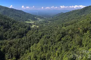 300 Â± Acres Upper Flat Creek Rd, Weaverville, NC 28787 - Photo 1