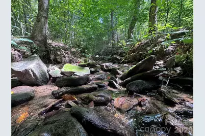 300 Â± Acres Upper Flat Creek Road, Weaverville, NC 28787 - Photo 6