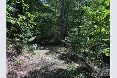 101 Â± Acres Timbersong Drive, Weaverville, NC 28787 - Photo 12