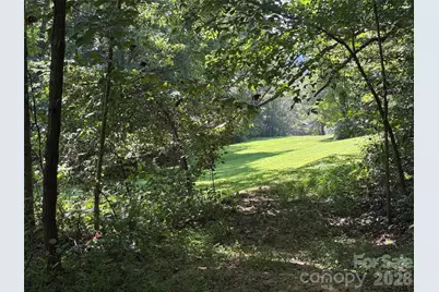 101 Â± Acres Timbersong Drive, Weaverville, NC 28787 - Photo 8