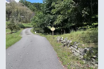 101 Â± Acres Timbersong Drive, Weaverville, NC 28787 - Photo 10