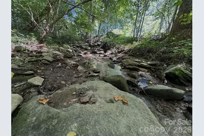 101 Â± Acres Timbersong Drive, Weaverville, NC 28787 - Photo 20