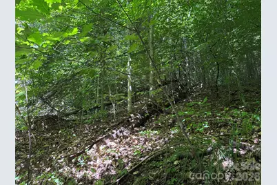 101 Â± Acres Timbersong Drive, Weaverville, NC 28787 - Photo 14