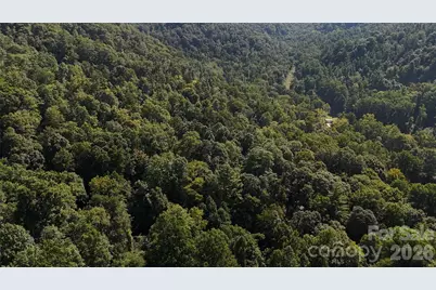 101 Â± Acres Timbersong Drive, Weaverville, NC 28787 - Photo 28