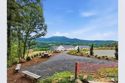 241 Smokey Holler Drive, Asheville, NC 28803 - Photo 14