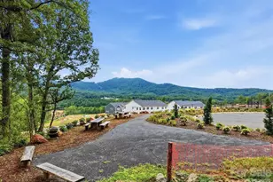 241 Smokey Holler Dr, Asheville, NC 28803 - Photo 14