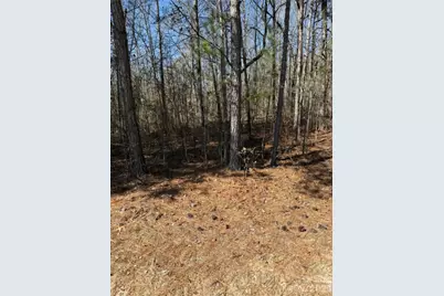 00 Vintage Road, Lilesville, NC 28091 - Photo 1