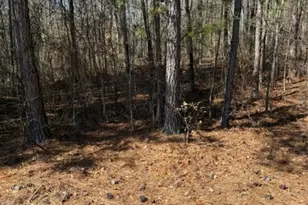 00 Vintage Rd, Lilesville, NC 28091 - Photo 1