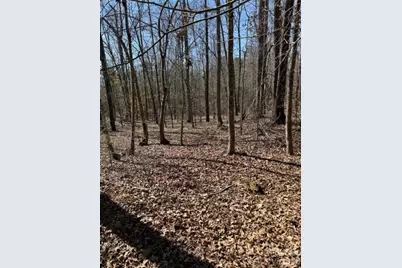 00 Vintage Road, Lilesville, NC 28091 - Photo 2