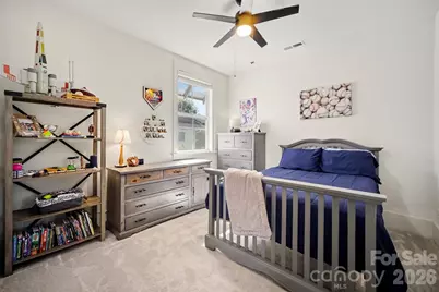 206 June Bug Lane, Fort Mill, SC 29708 - Photo 28