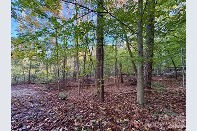 00 Forsythia Hedge Drive, Fletcher, NC 28732 - Photo 4