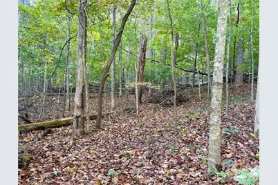 00 Forsythia Hedge Drive, Fletcher, NC 28732 - Photo 6