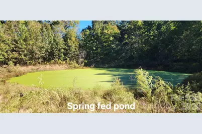 702 Ike Lynch Road, Dallas, NC 28034 - Photo 28