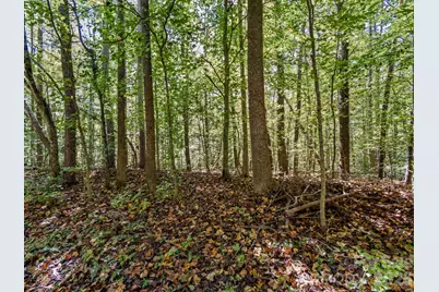000 Conifer Way, Shelby, NC 28150 - Photo 14