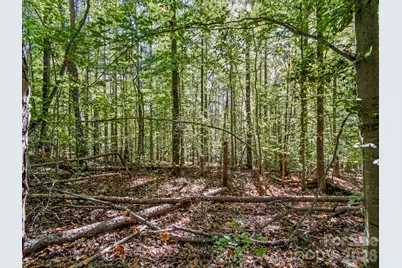 000 Conifer Way, Shelby, NC 28150 - Photo 12