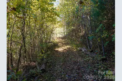 55 Bartrams Walk Drive, Asheville, NC 28804 - Photo 8